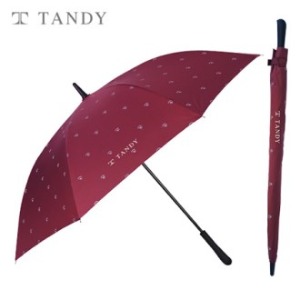 탠디 65 방풍 장우산